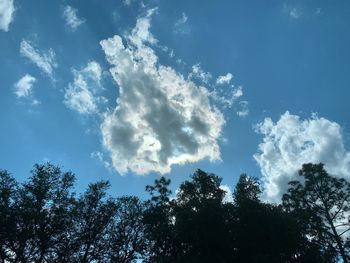 Low angle view of trees against sky