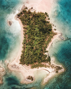 High angle view of sea shore