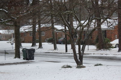 Trees in city during winter