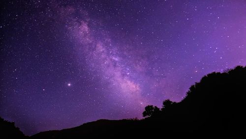 Low angle view of silhouette trees against sky at night