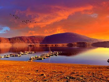 Birds on lake against sky during sunset