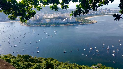 High angle view of sailboat on river with view of tall buildings in background