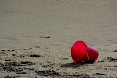 Close-up of red chili pepper on sand