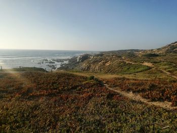 Scenic view of sea against clear sky