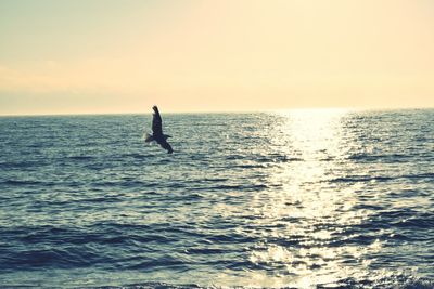 Silhouette person on sea against sky during sunset
