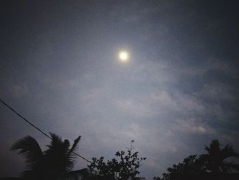 Low angle view of silhouette coconut palm tree against sky at night