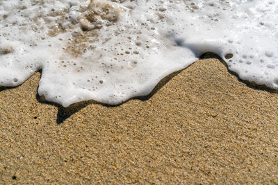 High angle view of bubbles on shore