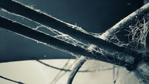 Close-up of spider web on railing