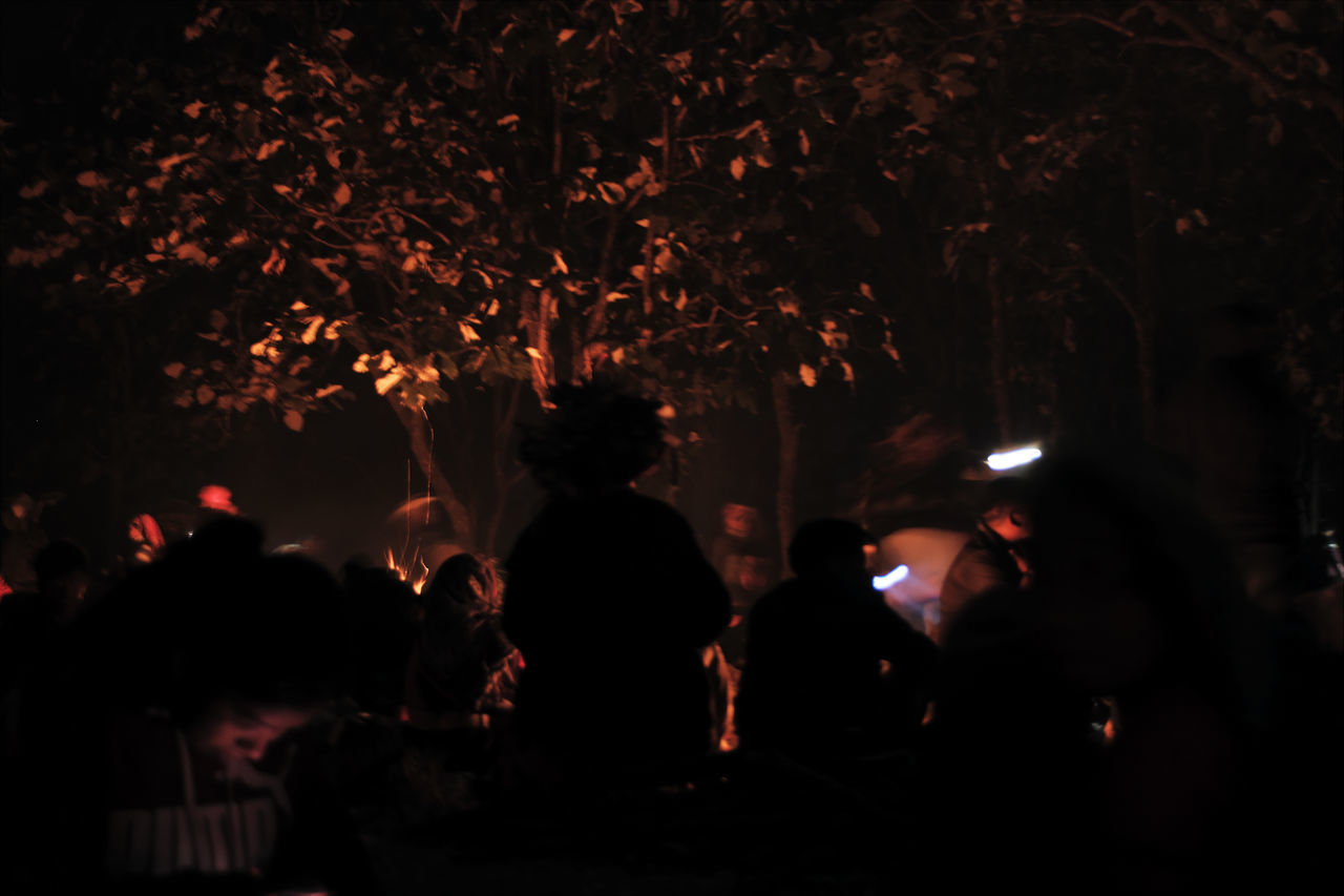 group of people, darkness, night, crowd, tree, men, large group of people, adult, nature, plant, light, illuminated, arts culture and entertainment, outdoors, women, celebration, event, fire, togetherness, group
