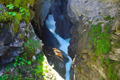 Close-up of waterfall in forest