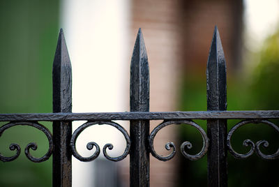 Close-up of metal fence