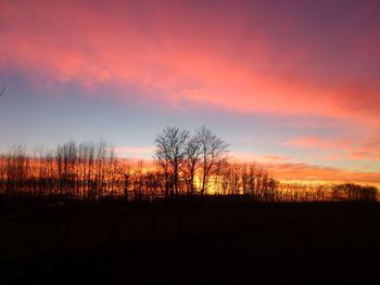 Silhouette of trees on landscape at sunset