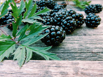 Close-up of blackberries on wood