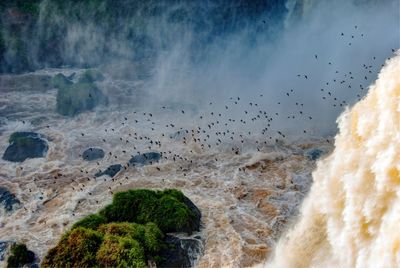 High angle view of birds flying over waterfall