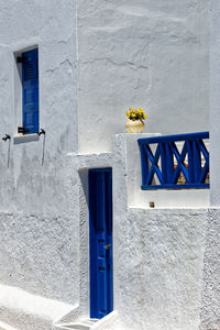 Yellow flowers on building wall