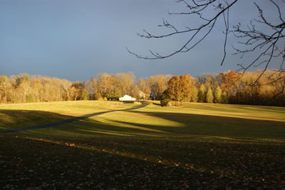 Scenic view of field against sky