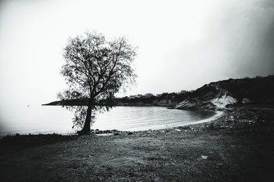 Scenic view of lake against clear sky