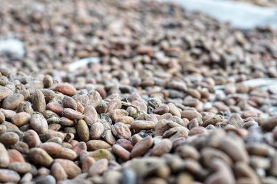 Close-up of pebbles on beach