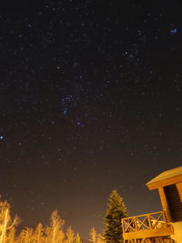 Low angle view of trees at night