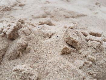 Close-up of sand on beach