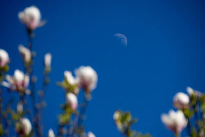 Low angle view of blue sky