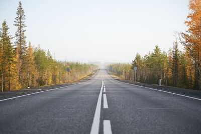 Surface level of road along trees and against sky