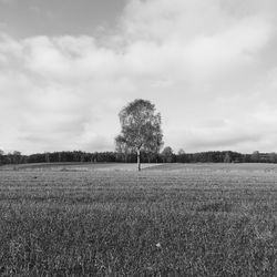 Scenic view of field against cloudy sky