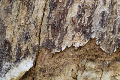 Full frame shot of rocks on rock