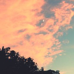 Low angle view of silhouette trees against sky