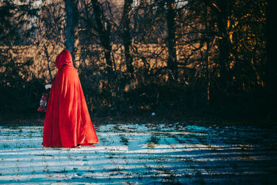 Rear view of person wearing cape in forest