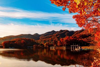 Scenic view of lake by trees against sky during autumn