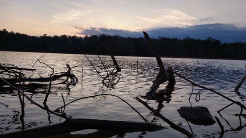 Silhouette bare trees by lake against sky during sunset