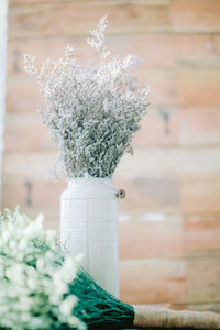 Close-up of white flower pot