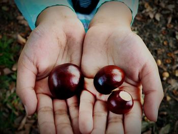 Fall harvest