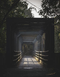 Empty footpath in park