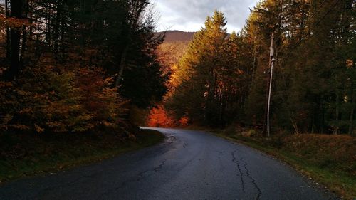 Empty road along trees