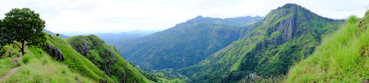 At the top of the tea plantation in ella, sri lanka you get a view across the valley.
