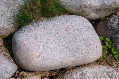 High angle view of stones