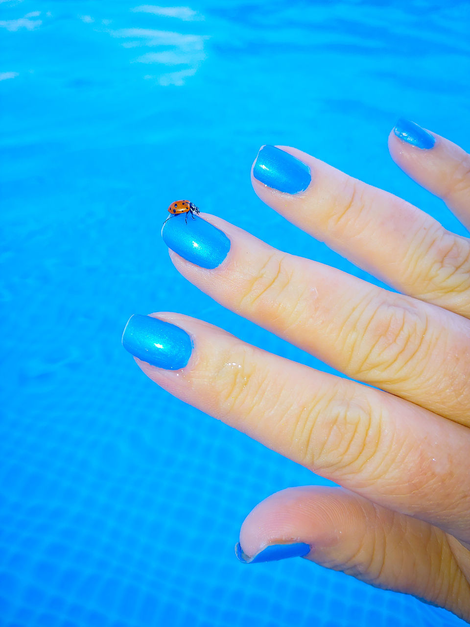 CLOSE-UP OF WOMAN HAND WITH BLUE SEA