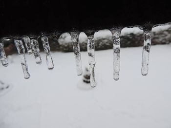 Close-up of ice crystals