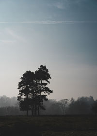 Tree on field against sky