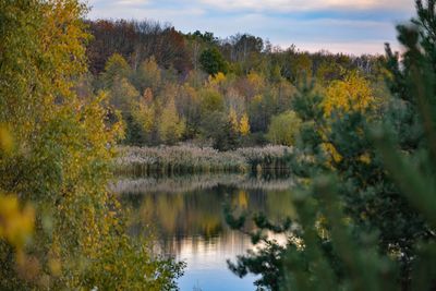 Scenic view of lake in forest during autumn