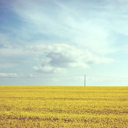 Scenic view of field against cloudy sky