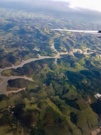 Aerial view of agricultural field