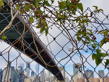 Brooklyn bridge and buildings seen through chainlink fence