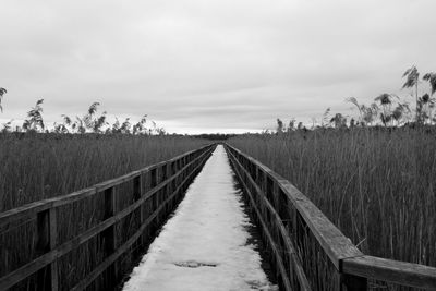 Snow on boardwalk amidst plants against sky