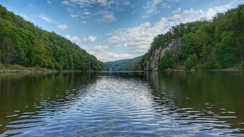 Scenic view of lake by trees against sky