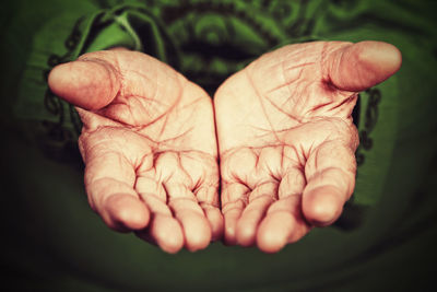 Close-up of person hand holding plant