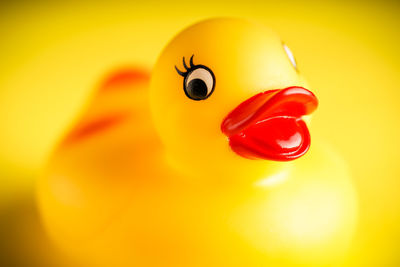 Close-up of yellow toy