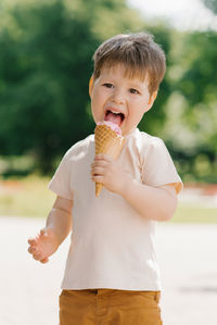 Cute caucasian boy of three years old eats ice cream in a cone while walking in a summer park